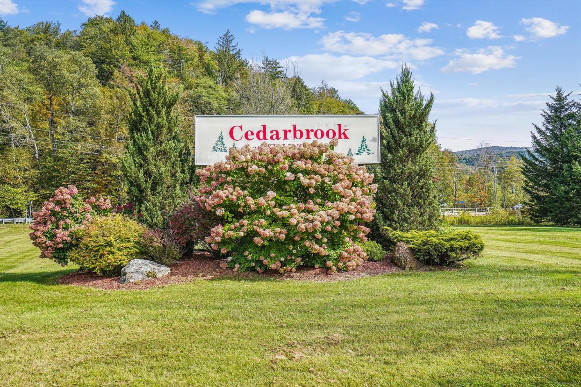 Cedarbrook Queen Suite 108 キリングトン エクステリア 写真